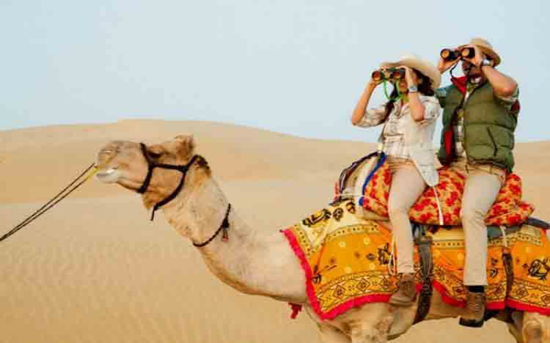 08 Day Golden Triangle Tour (Camel & Jeep Safari)