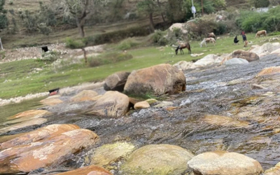 Nearby stream with clear water and large rocks
